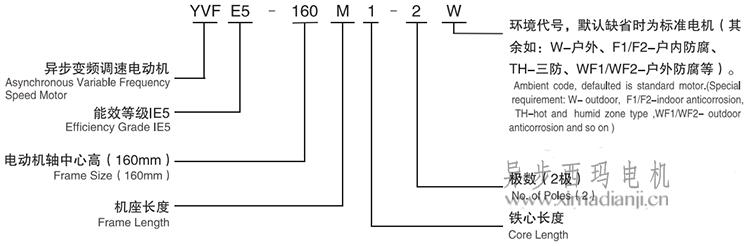 1645603300994795.jpg YVFE5.jpg