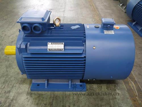 1688096801832648.jpg YVP.jpg