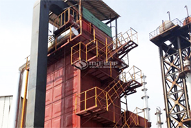 國內最大導熱油鍋爐投入運行！